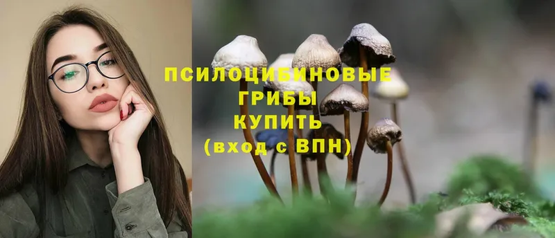 дарк нет как зайти  Горно-Алтайск  Псилоцибиновые грибы Psilocybe  где купить наркоту 